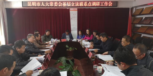 市人大调研1