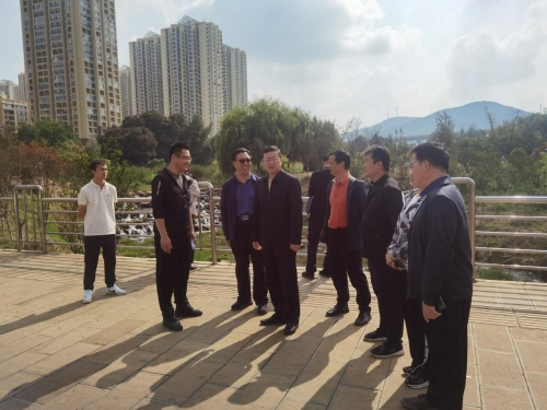 图片10 图片10