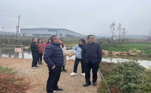 图片6